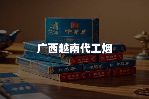 广西越南代工烟